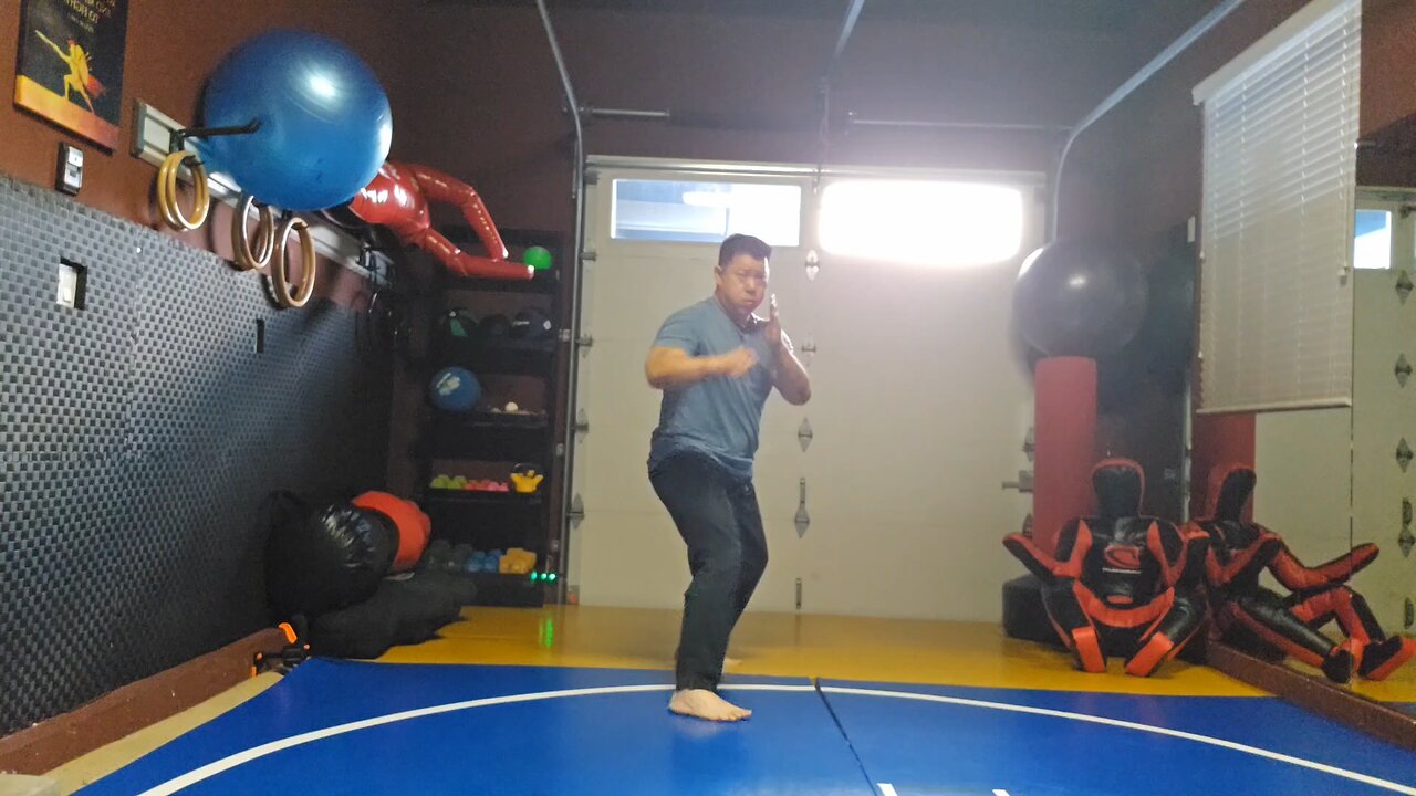 WTD 2 Step Kick Combination 103