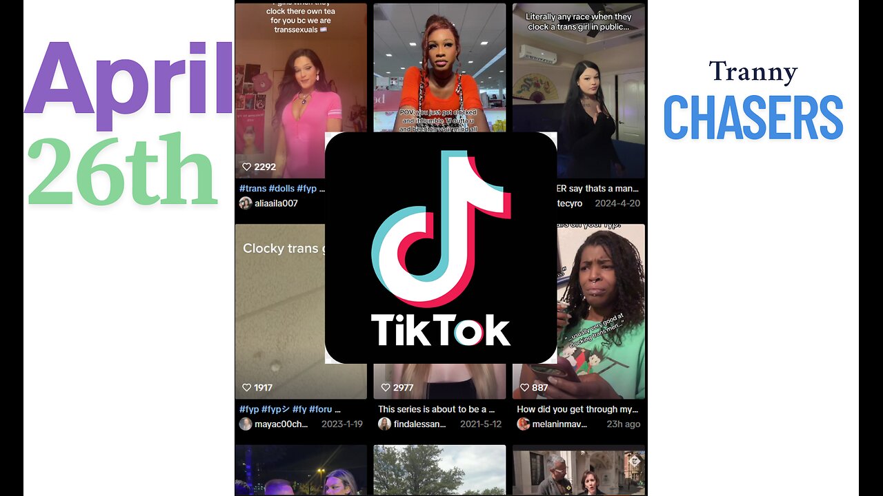 Laughing at Tranny Chasers on TikTok