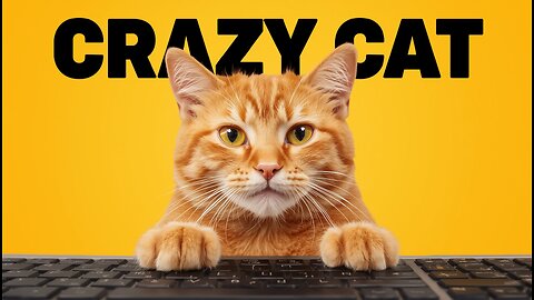 This Cat’s Crazy Antics Had Me Laughing Nonstop! 😹🔥 #FunnyCat