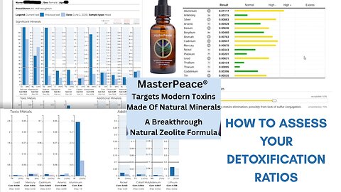 Participant 1SB: Hair Mineral Study Results - MasterPeace Study By Certified Experts
