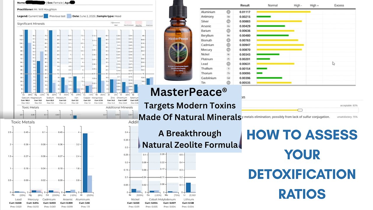 Participant 1SB: Hair Mineral Study Results - MasterPeace Study By Certified Experts