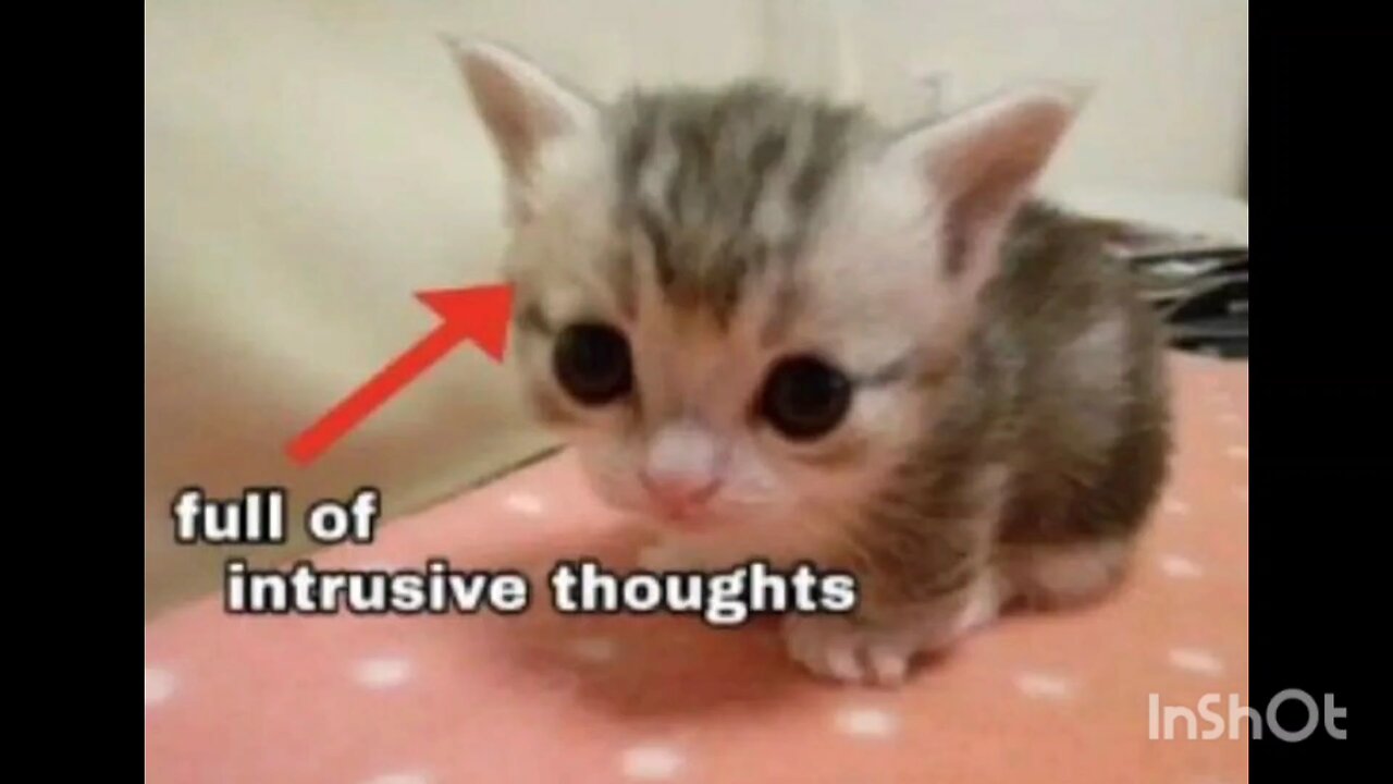 full of intrusive thoughts