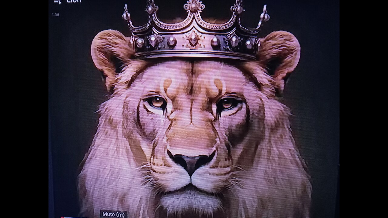 APOSTLE TAHAR'S MESSAGE TI THE "WACKY TACKY JESUS FREAKS"WE AIN'T PLAYING.-DAILYEDIFICATION4