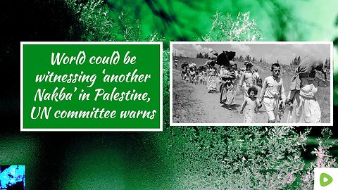 World could be witnessing ‘another Nakba’ in Palestine, UN committee warns