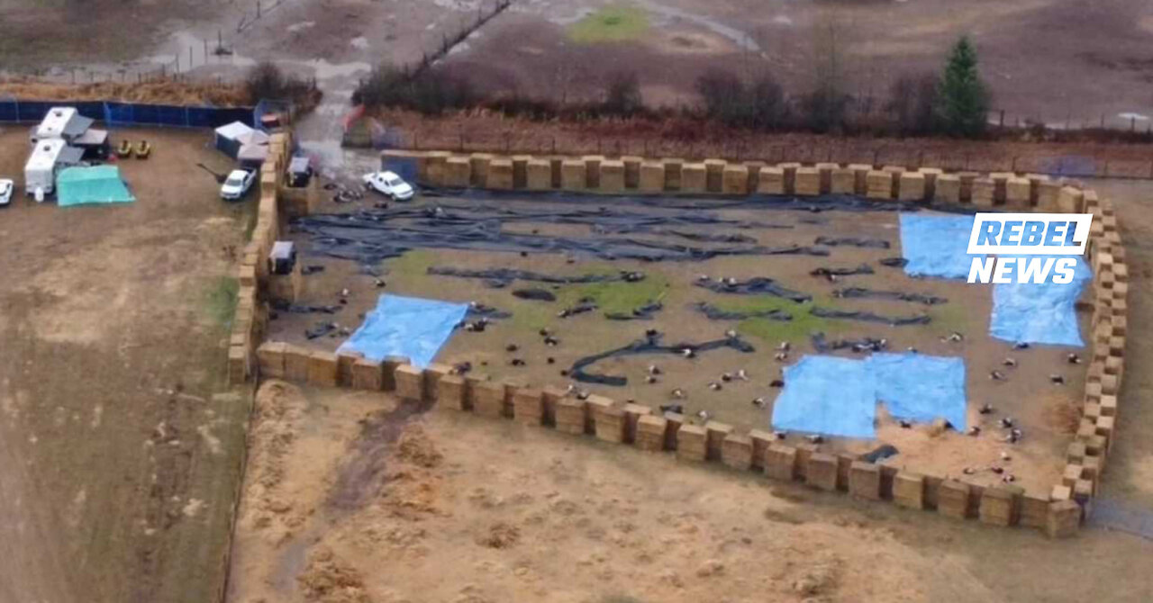 BREAKING: Drone footage shows hundreds of dead ostriches after government slaughter