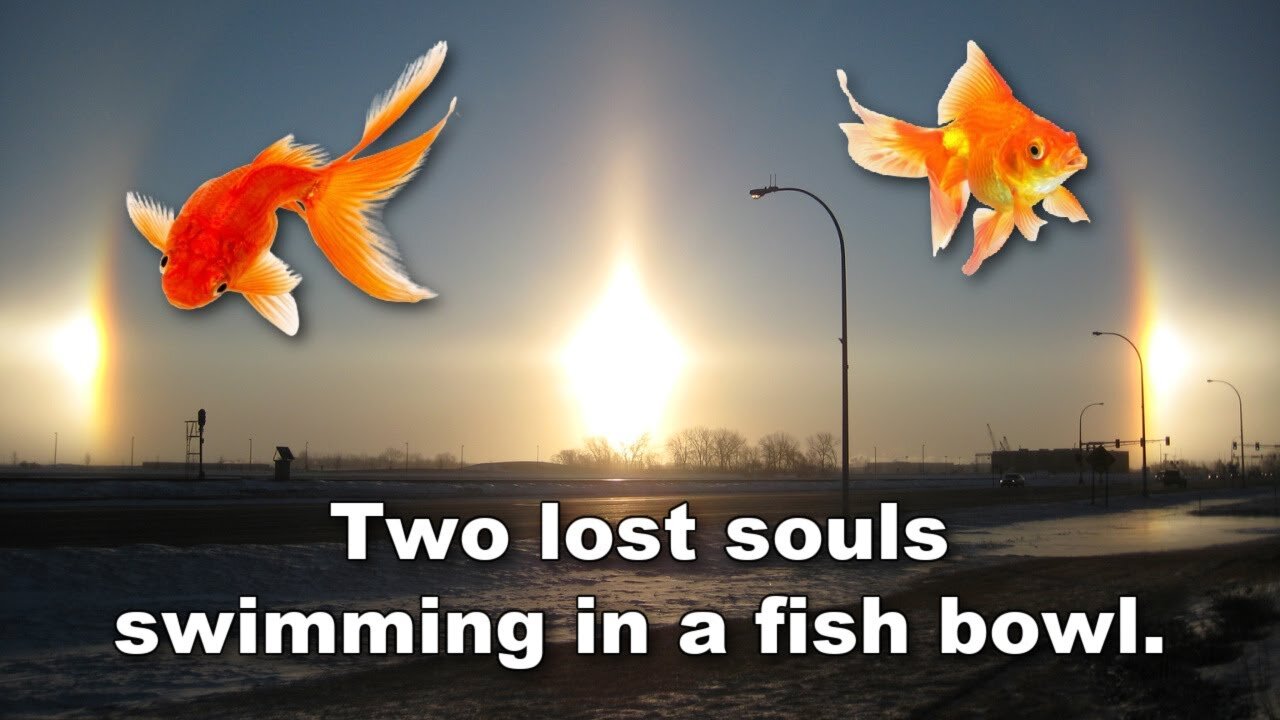 THE FIRMAMENT swimming in a fish bowl, on a FLAT EARTH