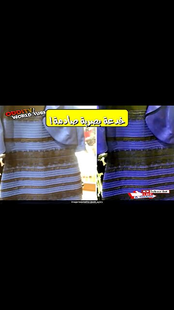 الخـدعة البصرية: كشف أسرار الوهم المرئي الصادم! #وهم #بصريات #خدع