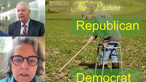 The New American Party