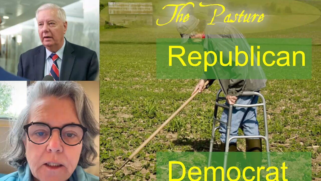 The New American Party
