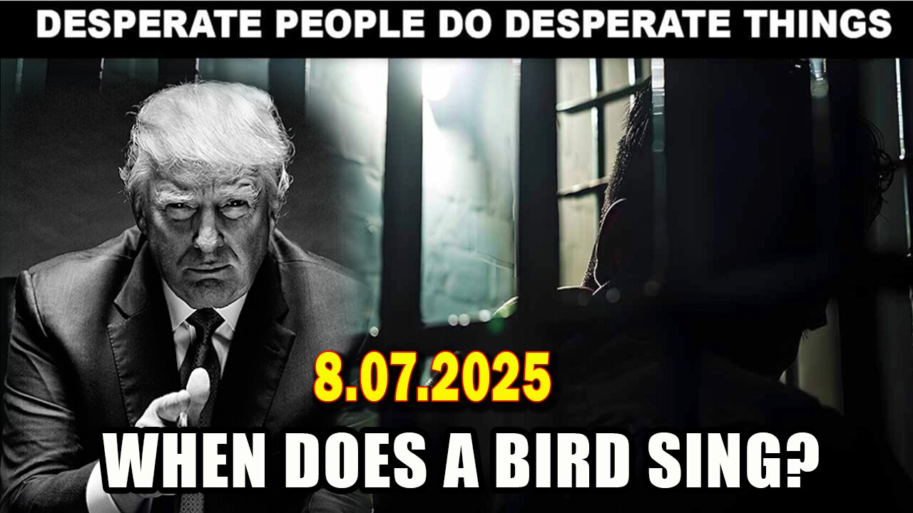 And We Know Urgent Emergency 8.7.25: "When Does A Bird Sing? BO Testimony, Sessions, Popcorn"