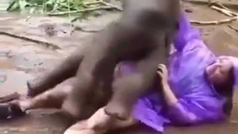 every living thing needs to be loved. 🐘😂