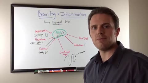 Stop Brain Fog How Inflammation Hurts Your Memory