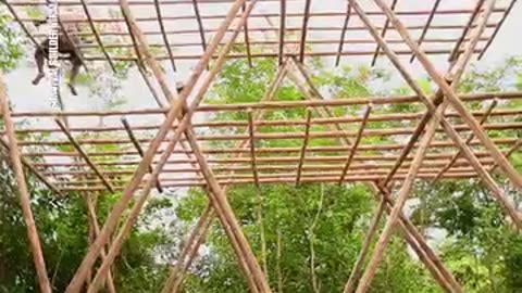 Building a beautiful bamboo house from start to finish with a swimming pool