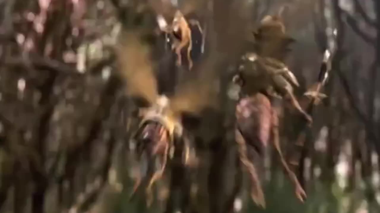 Giant creature
