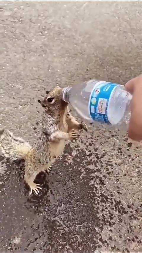 There hope for humanity