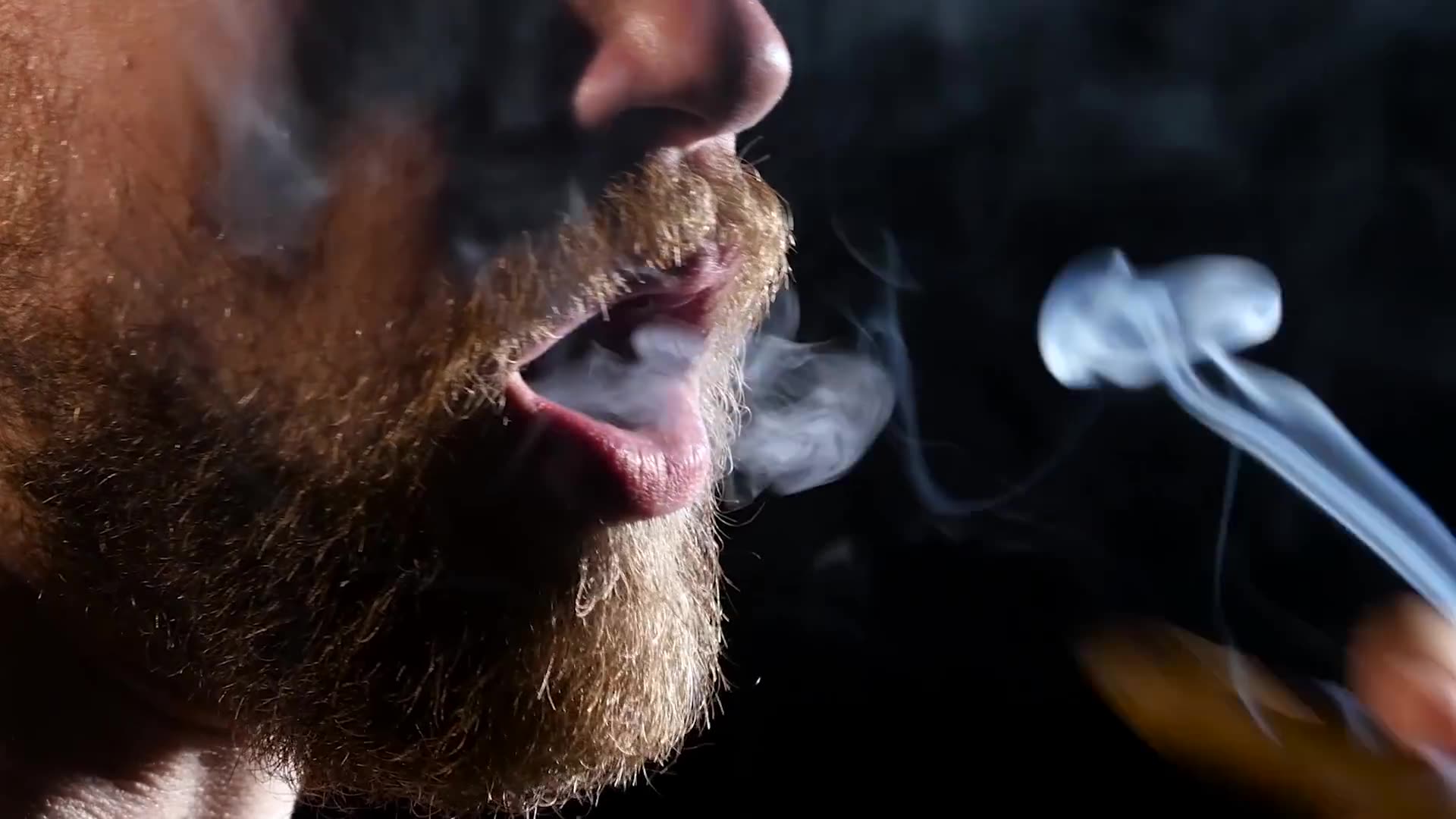 WW2 Vet Horrified By Lack Of Trans Representation On D-Day