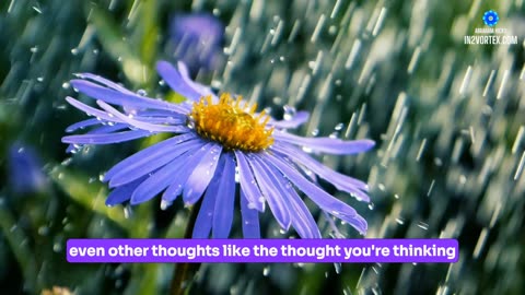 Abraham Hicks 2024 Say YES to Life! and Watch What Happens
