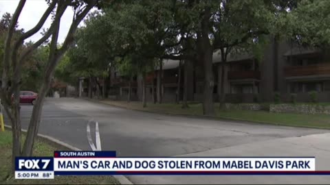Man's car and dog was stolen from MABELS DAVIS PARK