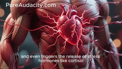 Calm in Seconds: The Breathing Trick Experts Love