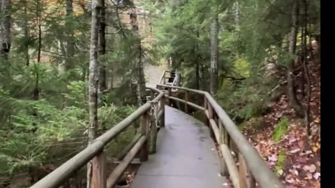 “Stop Giving Up On Yourself — 5 Seconds Can Change EVERYTHING”