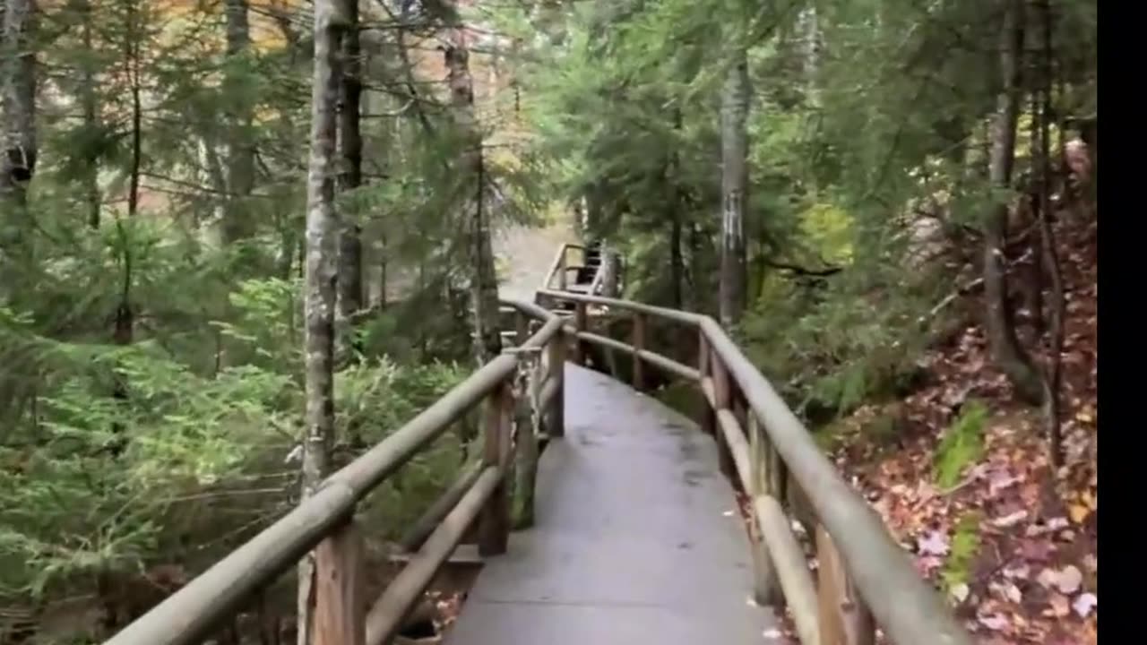 “Stop Giving Up On Yourself — 5 Seconds Can Change EVERYTHING”