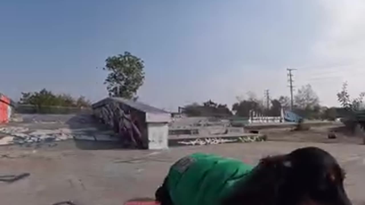 awesome doggy