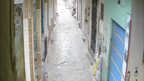 Camera1_elsayed_elsayed_20250124151057_20250124165831_1435696