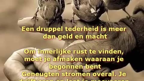 Een druppel tederheid is meer dan
