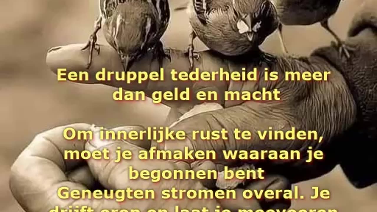 Een druppel tederheid is meer dan