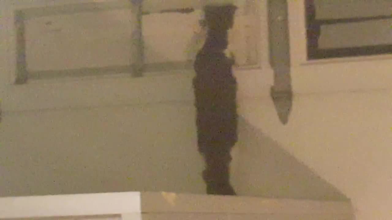 Pointless Pet Video Episode 11 : Meows Such A Metiche (December 21, 2017)