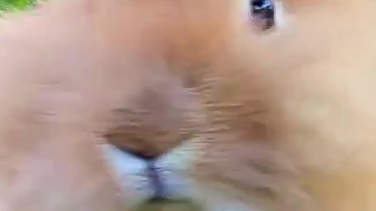 The truth is going to set you free