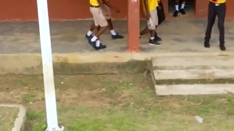 Transforming Lives_ Cows for Education in Ghana