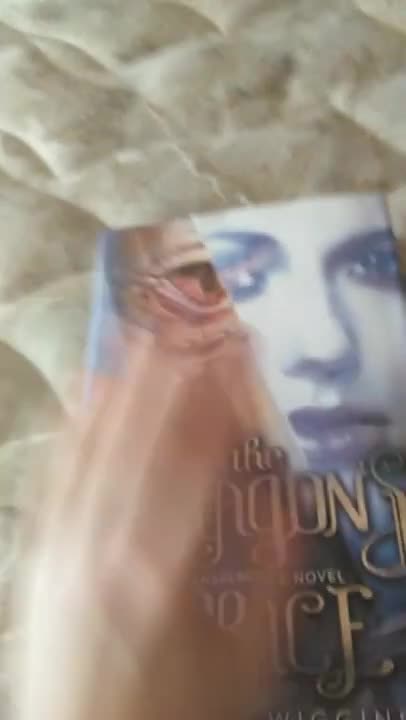 The dragons price by Bethany Wiggins book review