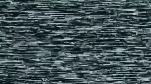 🛸🔥 Ukraine Russia War | Wild Hornets Interceptor Drone Downs 1000+ Russian Shahed & Gerbera U… | RCF