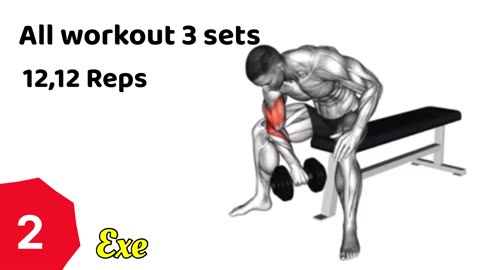 The PERFECT Back Workout (Sets and Reps Included) shorts (9)