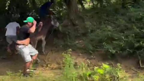 Caught In Animal Relations