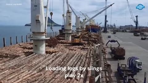 It's Amazing How Quickly Millions Of Cars Are Shipped Across The Ocean. World of Loading & Unloading