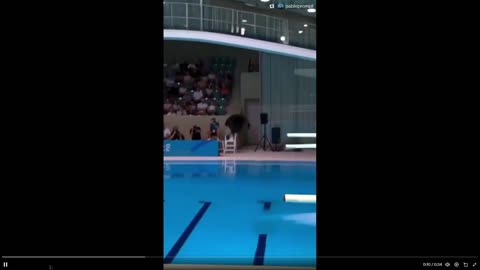 And they say AI vids are useless: Here are cats diving with some serious skills