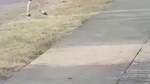 Ouch, Damn!
