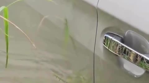 😂 To Get to the Other Side... Watch This! | FunFM