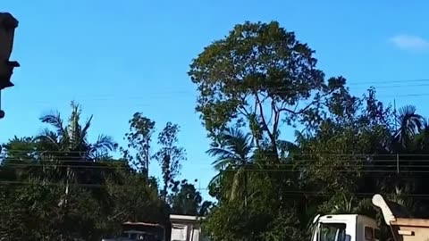 Hot Air Balloon with 21 on Board in Brazil Erupts in Flames