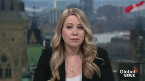 New candidate in Liberals’ Markham riding faces controversy