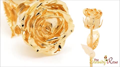 24K Gold Dipped Eternity Rose - The Perfect Gift for Her