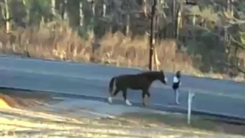 Walking the horse. 🐴