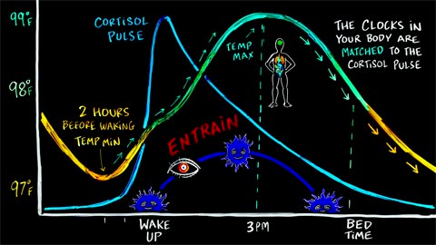 The Scientific Formula for Perfect Sleep - Matt Walker