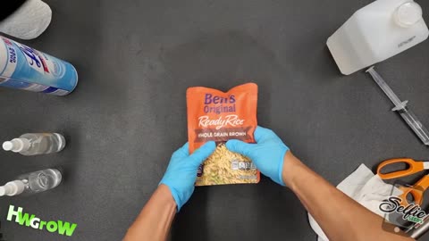 How to Grow Mushrooms EASY – Uncle Ben’s Tek – Giving Rice Bags a Spore Jab – 100% Success