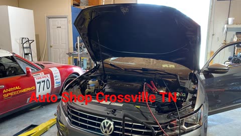 Animal Speedwerks - #1 Auto Shop in Crossville, TN