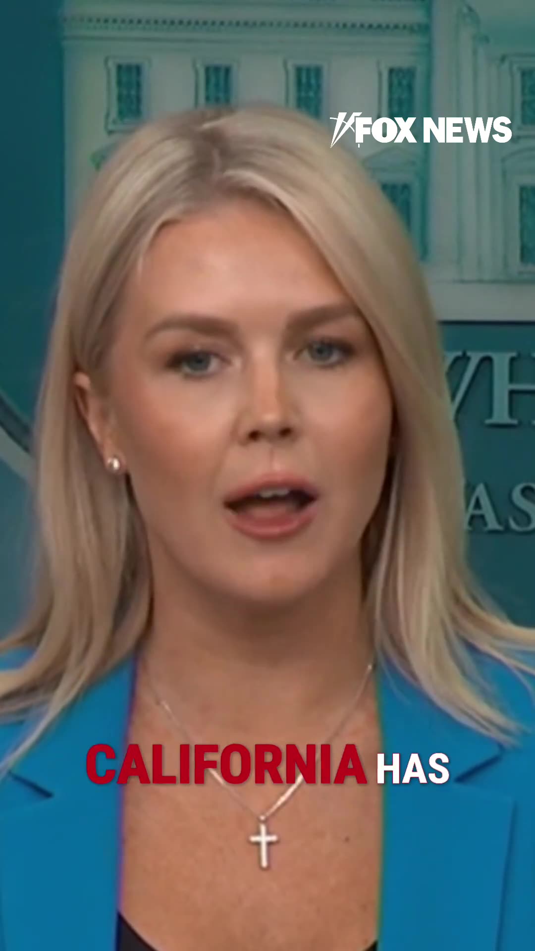 ‘MESS FOR YEARS’: Leavitt Calls out Newsom for His ‘Incompetence’