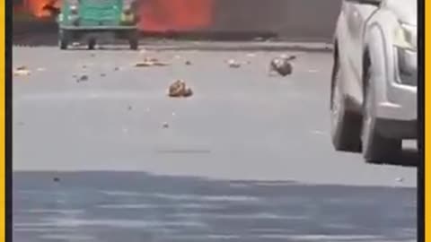 AirIndia Dreamliner 171 Crash