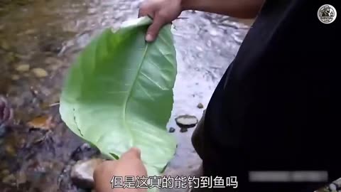 Forest Survival Camp with Powerful Remix Music